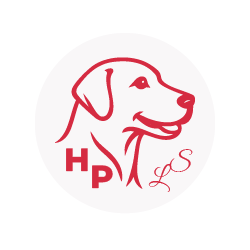 hunde-perspektiven.de