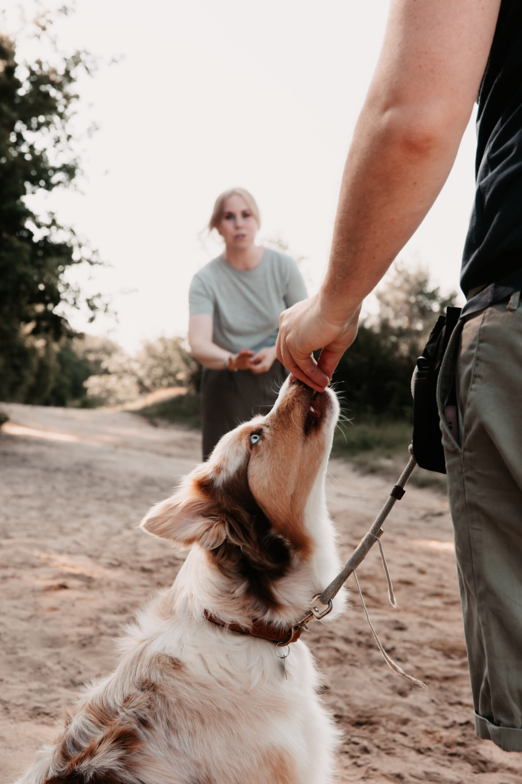 Individueller Ansatz für jeden Hund