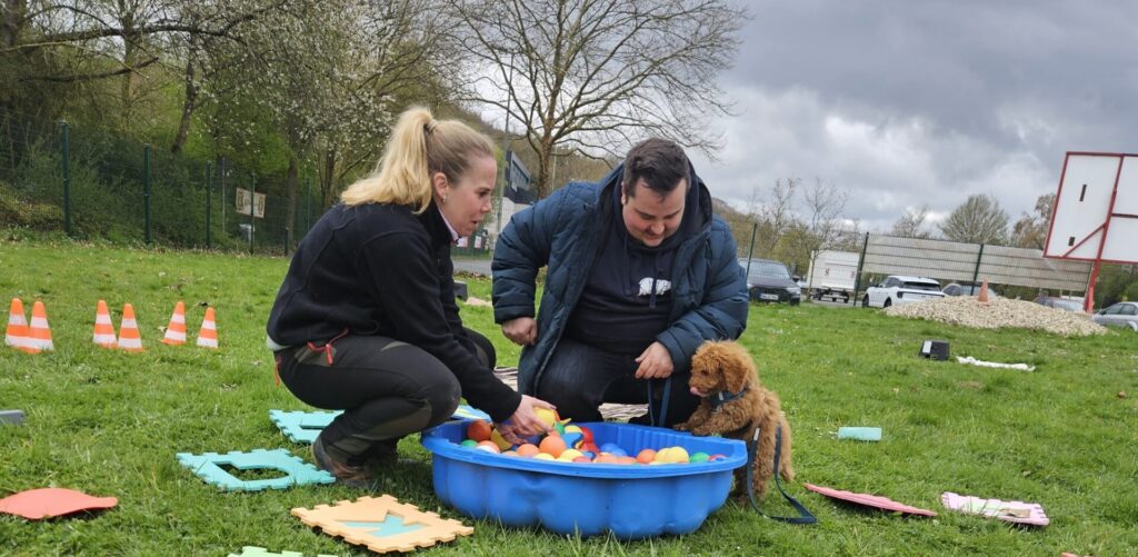 Wie finde ich den richtigen Hundetrainer?