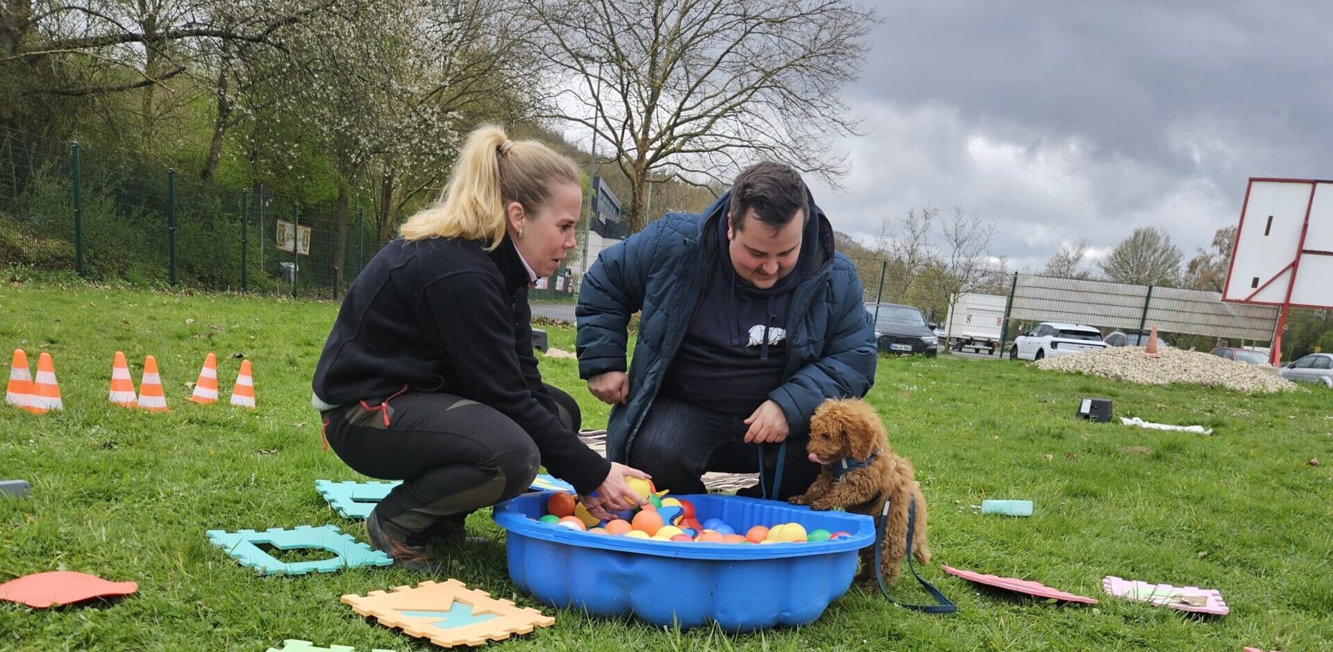 Wie finde ich den richtigen Hundetrainer?